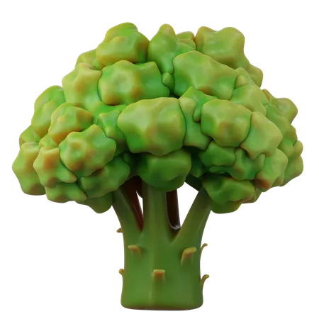 Broccoli  3D Icon