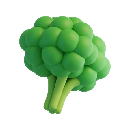 Broccoli  3D Icon