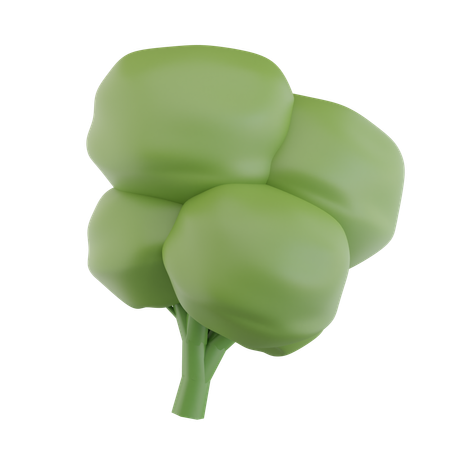 Broccoli  3D Icon