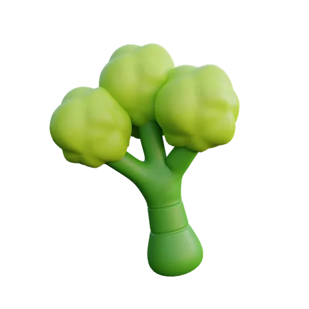 Broccoli  3D Icon