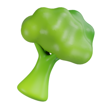 Broccoli  3D Icon