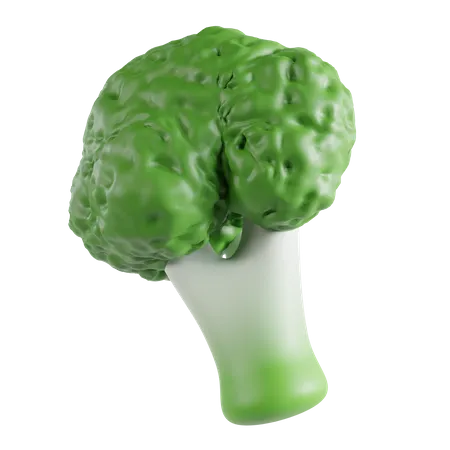 Broccoli  3D Icon