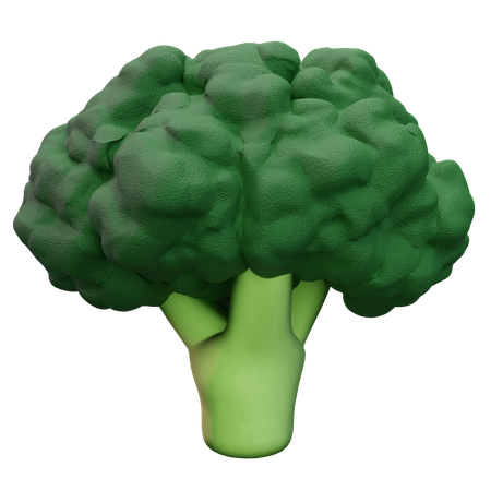 Broccoli  3D Icon