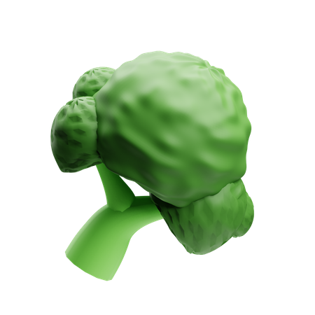 Broccoli  3D Illustration