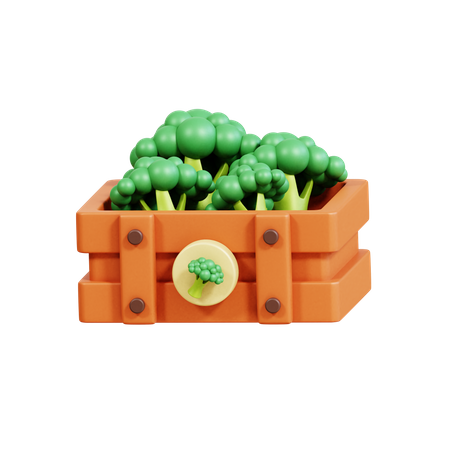 Broccoli Basket  3D Icon