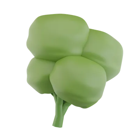 Brócoli  3D Icon