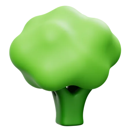 Brocoli  3D Icon