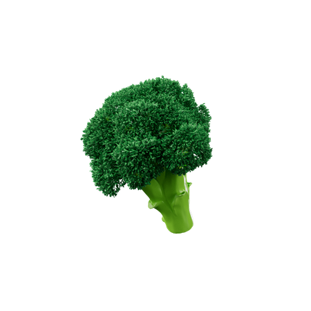 Brocoli  3D Icon