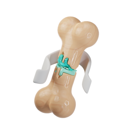 Broken Bone  3D Icon