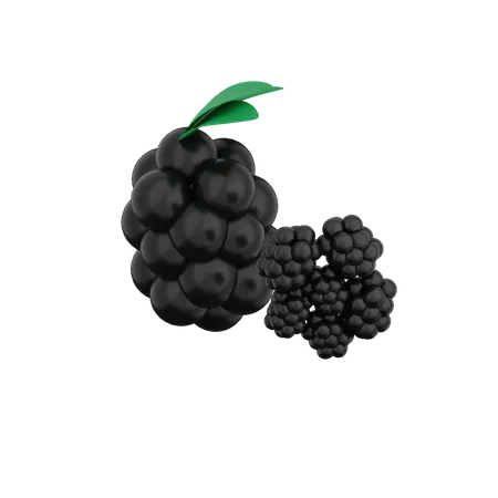 Brombeere  3D Illustration