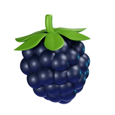 Brombeere  3D Icon