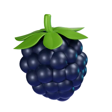 Brombeere  3D Icon