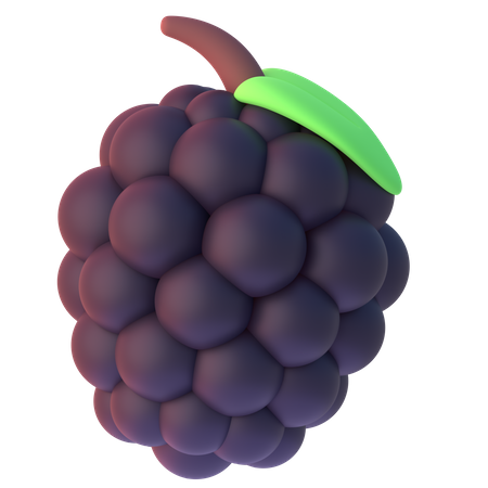 Brombeere  3D Icon