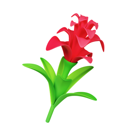 Bromeliad Flower  3D Icon