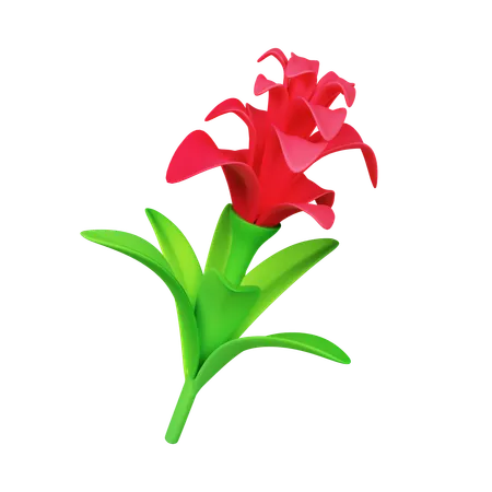 3 D Bromeliad Flower Icon Isolated On White Background 3 D Rendering Illustration Clipping Path 3D Icon