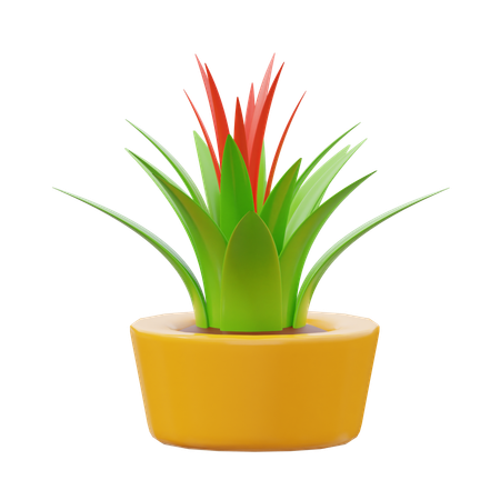 Planta bromélias  3D Icon