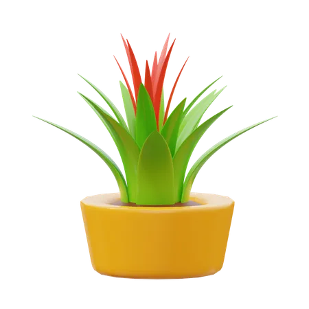 Bromelien Pflanze  3D Icon