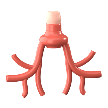 Bronchus  3D Icon