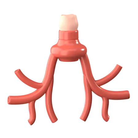 Bronchus  3D Icon