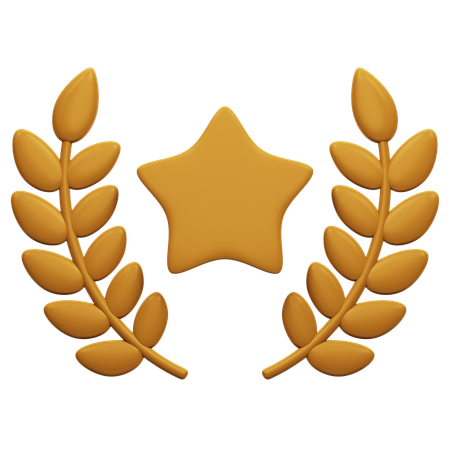 Bronze Star  3D Icon