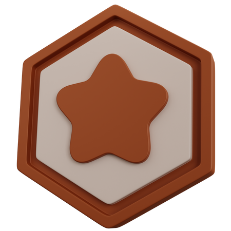 Bronze Star Badge  3D Icon