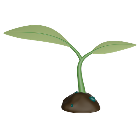 Brote  3D Icon