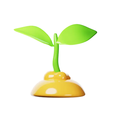 Planta de brote  3D Icon