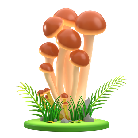 Mushroom Brown cluster  3D Icon