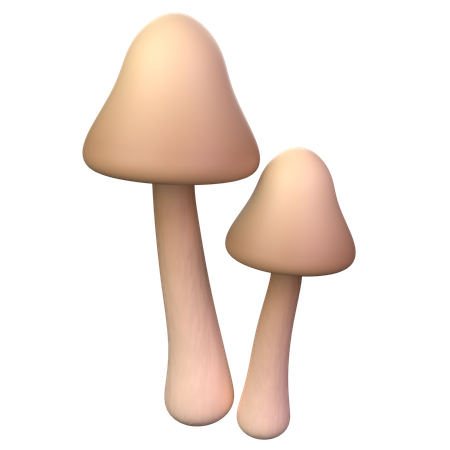 Brown Mushroom  3D Icon