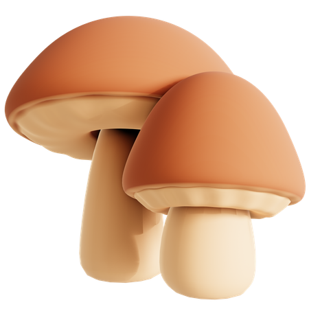 Brown Mushroom  3D Icon