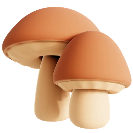 Brown Mushroom  3D Icon