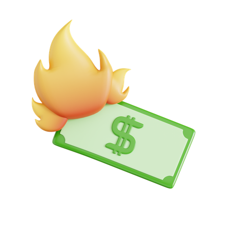 Brûler de l'argent  3D Icon