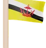 Brunei Darussalam Flag