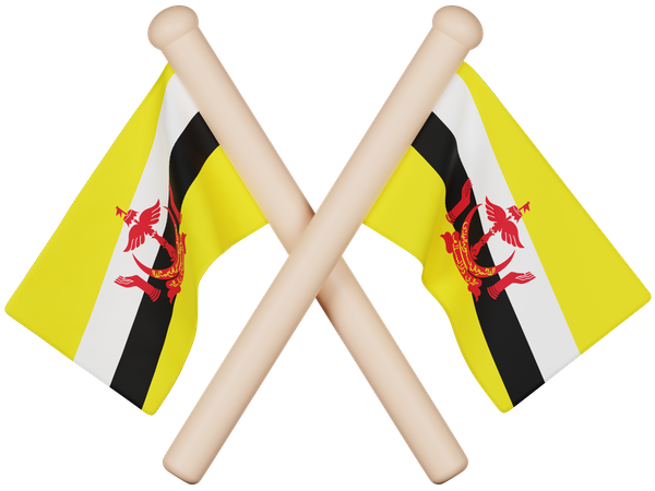 Brunei Darussalam Flag  3D Icon