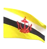 Brunei Flag