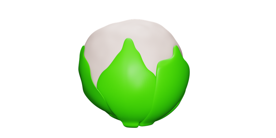 Brussels Sprouts  3D Icon