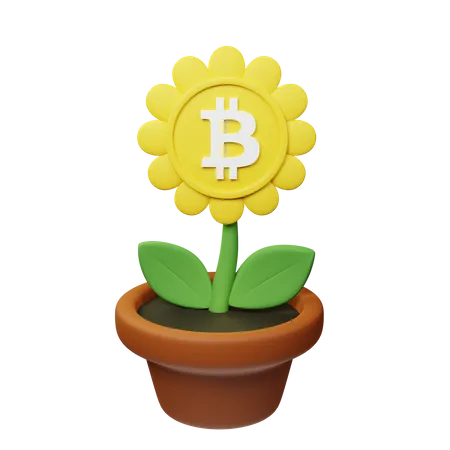 Maceta criptográfica bsv  3D Icon