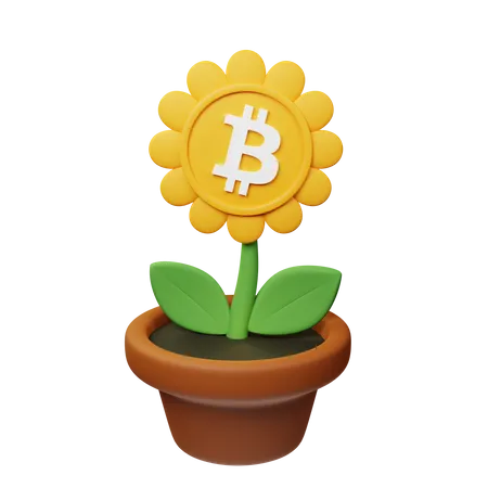 Maceta criptográfica btc  3D Icon