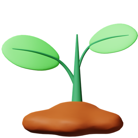 Bud Sprouts  3D Icon