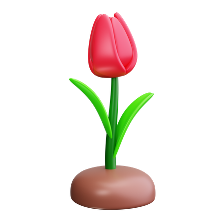 Budding Plant  3D Icon