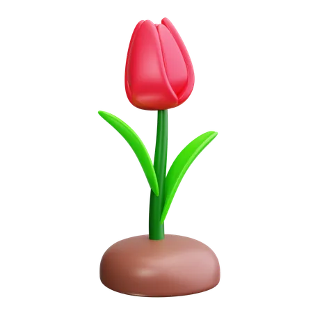 Budding Plant  3D Icon