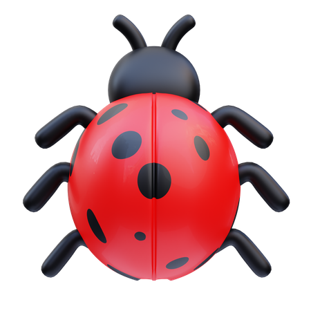 Bug  3D Icon