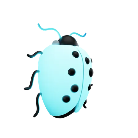 Bug  3D Illustration