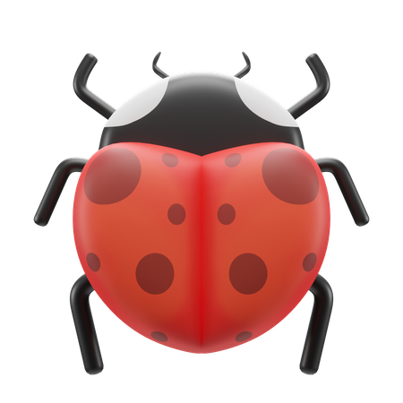 Bug  3D Illustration