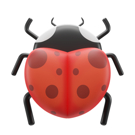 Bug 3D Illustration