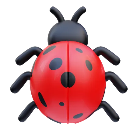 Bug  3D Icon