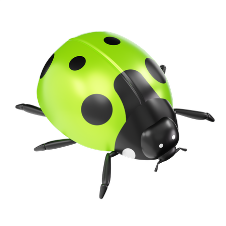 Bugs  3D Icon