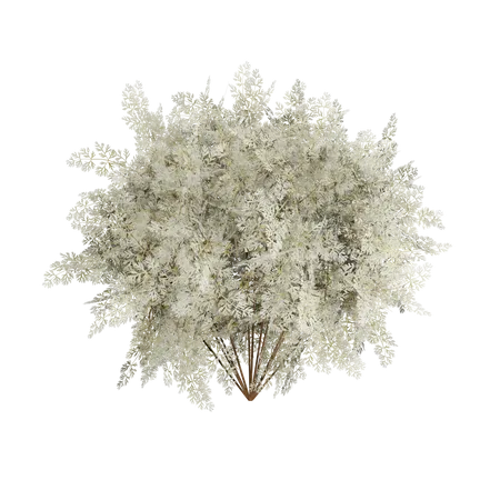 Buisson blanc dense  3D Icon