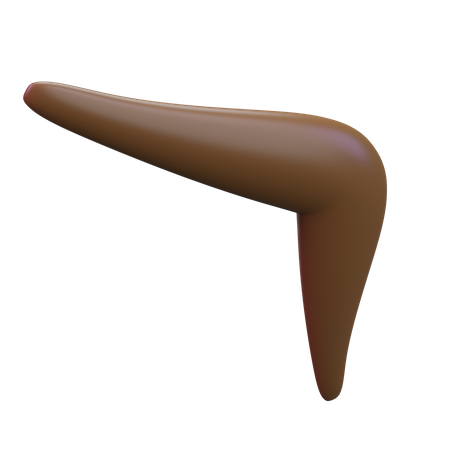 Boomerang  3D Icon