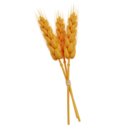 Bunch Of Wheat  3D Icon